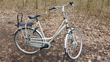 gazelle abrikoos